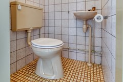 Liguster 77 Nieuwvliet-8.jpg